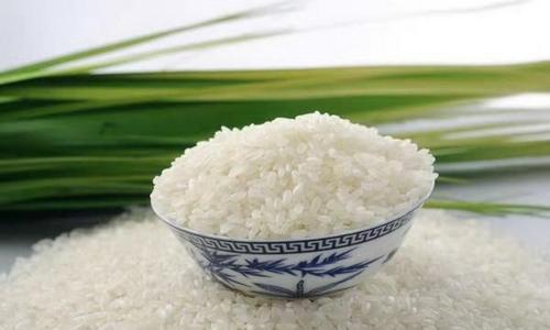 大米为什么选择北方的比较好吃
