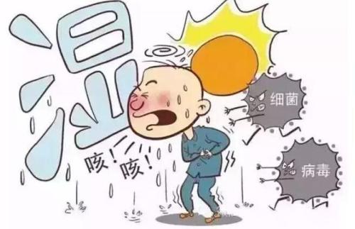  人体如果湿气比较重的话可以多吃这些食品