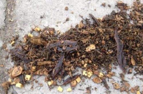 熬完之后的中药渣不要倒掉还有很多用处