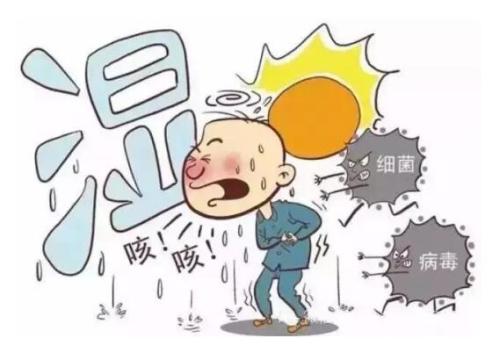 会加重我们体内湿气的菜为大家介绍几种