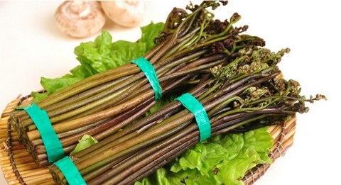 食用蕨菜我们需要多注意以下几点