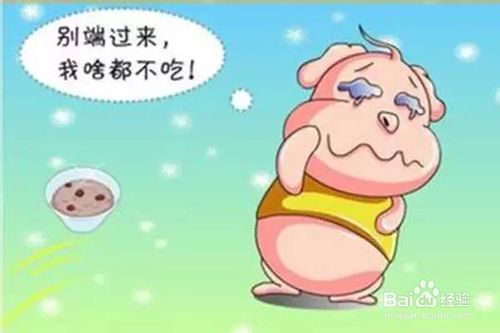 有什么好的方法能够帮助人体进行减肥
