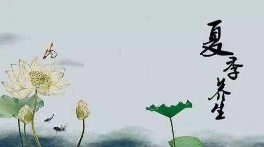 夏天坚持做这四件事 养出长寿好体质