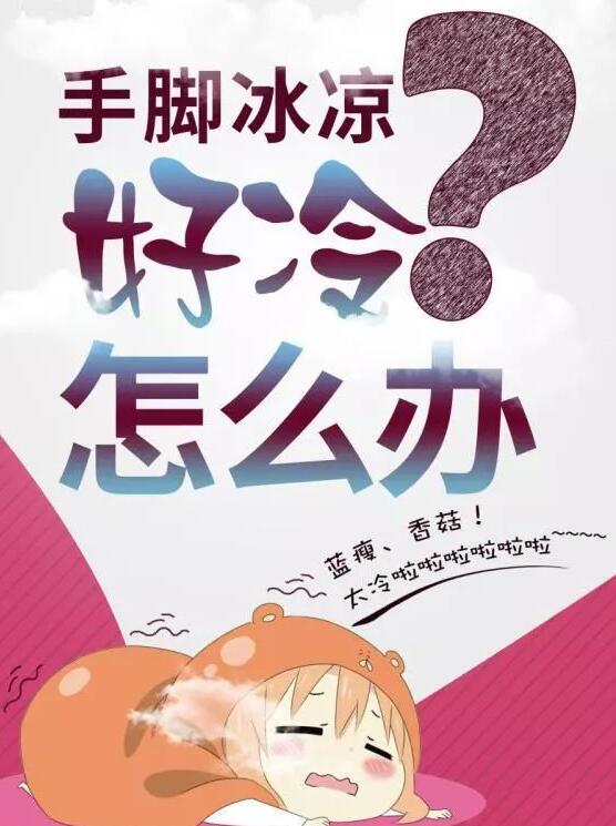 「循环系统」我的手为什么是冰冷的呢？怎么办呢？